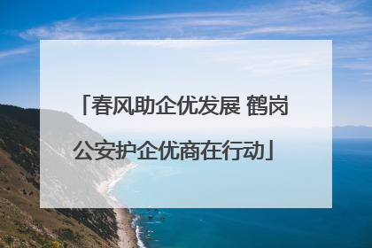 春风助企优发展 鹤岗公安护企优商在行动